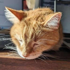 Meet your Posher, Mark